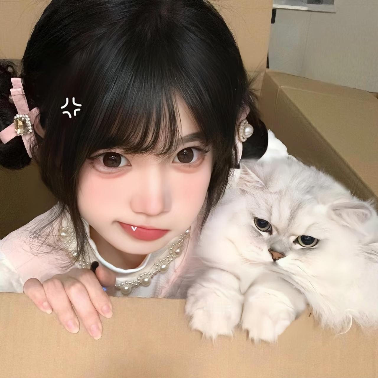 𝙒𝙚𝘾𝙝𝙖𝙩｜猫猫头像｜女生头像｜图源网络侵删 