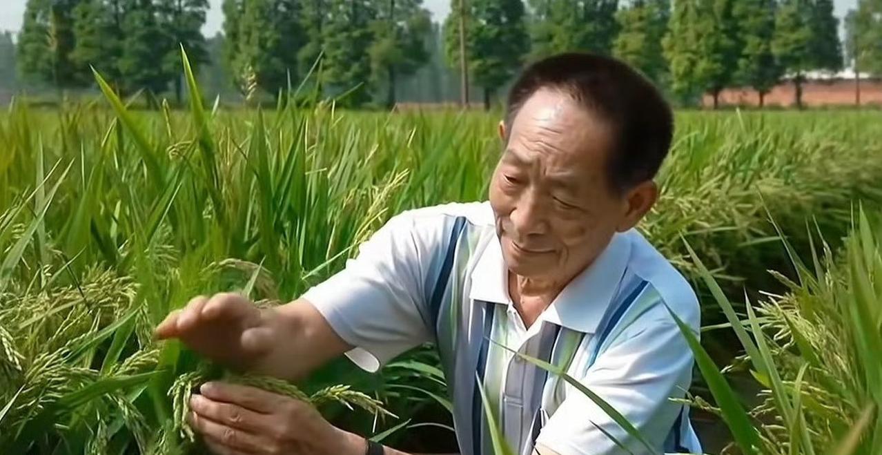 【家属回应67岁面筋爷爷酷似袁隆平：父亲街头卖烤面筋近10年，就是想让人吃饱吃好