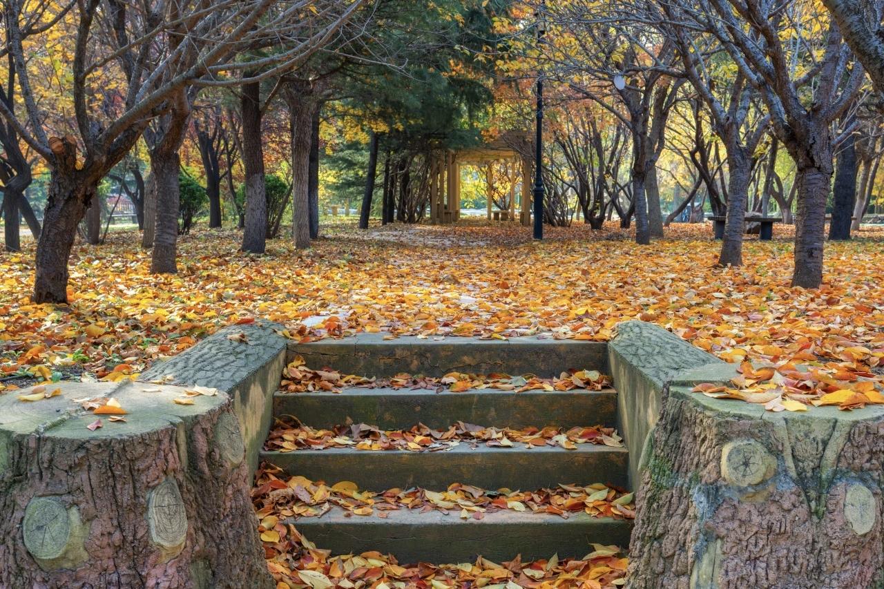 【争赢了结局，却输了以后；争来了服软，却丢了感情。凡事看得太清楚，只会疲惫；总是