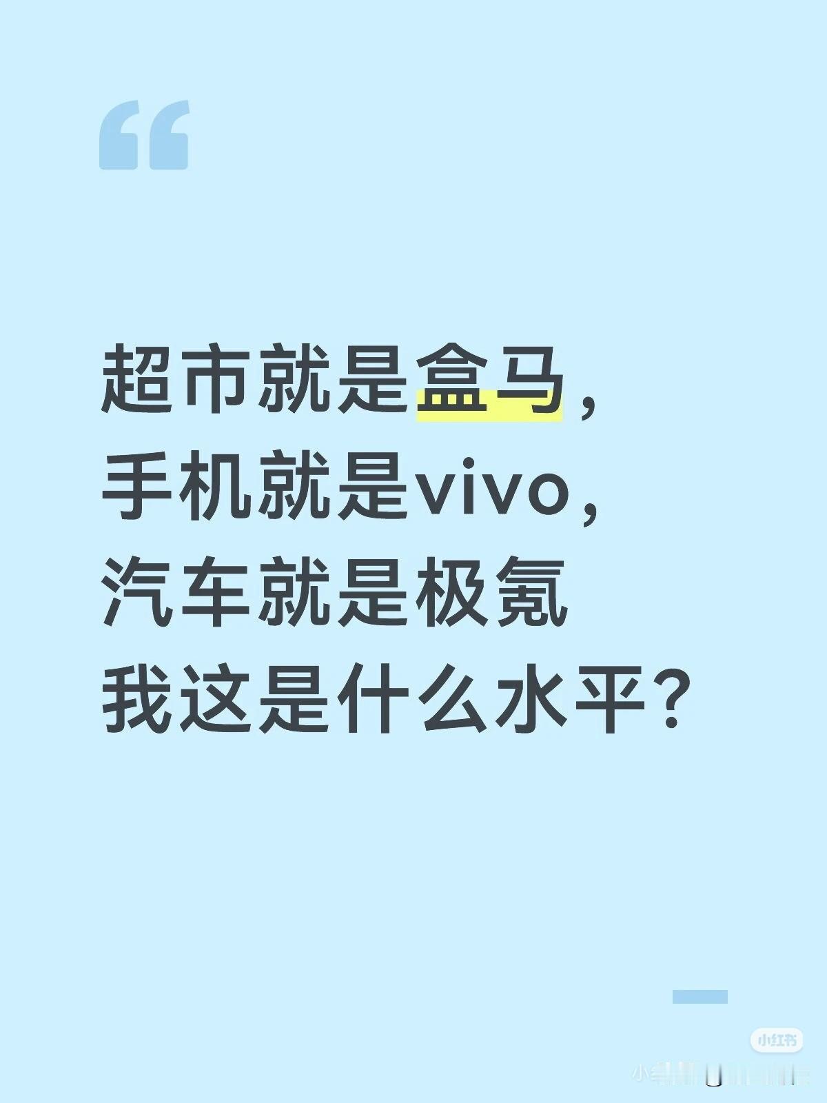 超市就是盒马，手机就是vivo，汽车就是极氪
我这是什么水平？