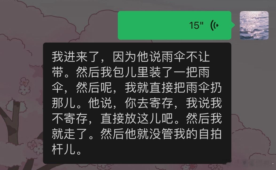 损失一把伞但是带进来了自拍杆 这把不亏