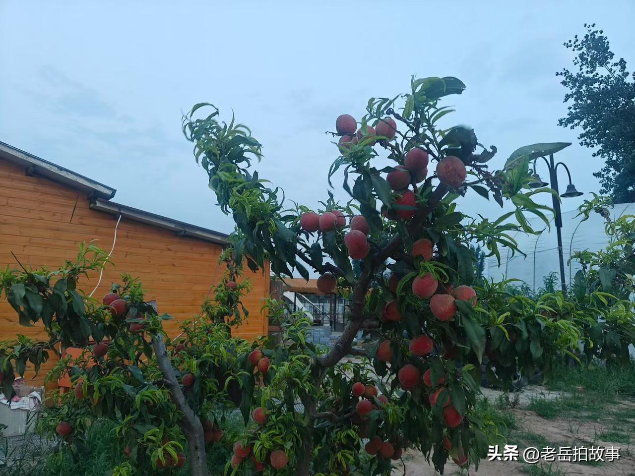生财有道:
一位卖服装的店老板，从南方进回来了一批价廉物美的裙子，以每条裙子五十