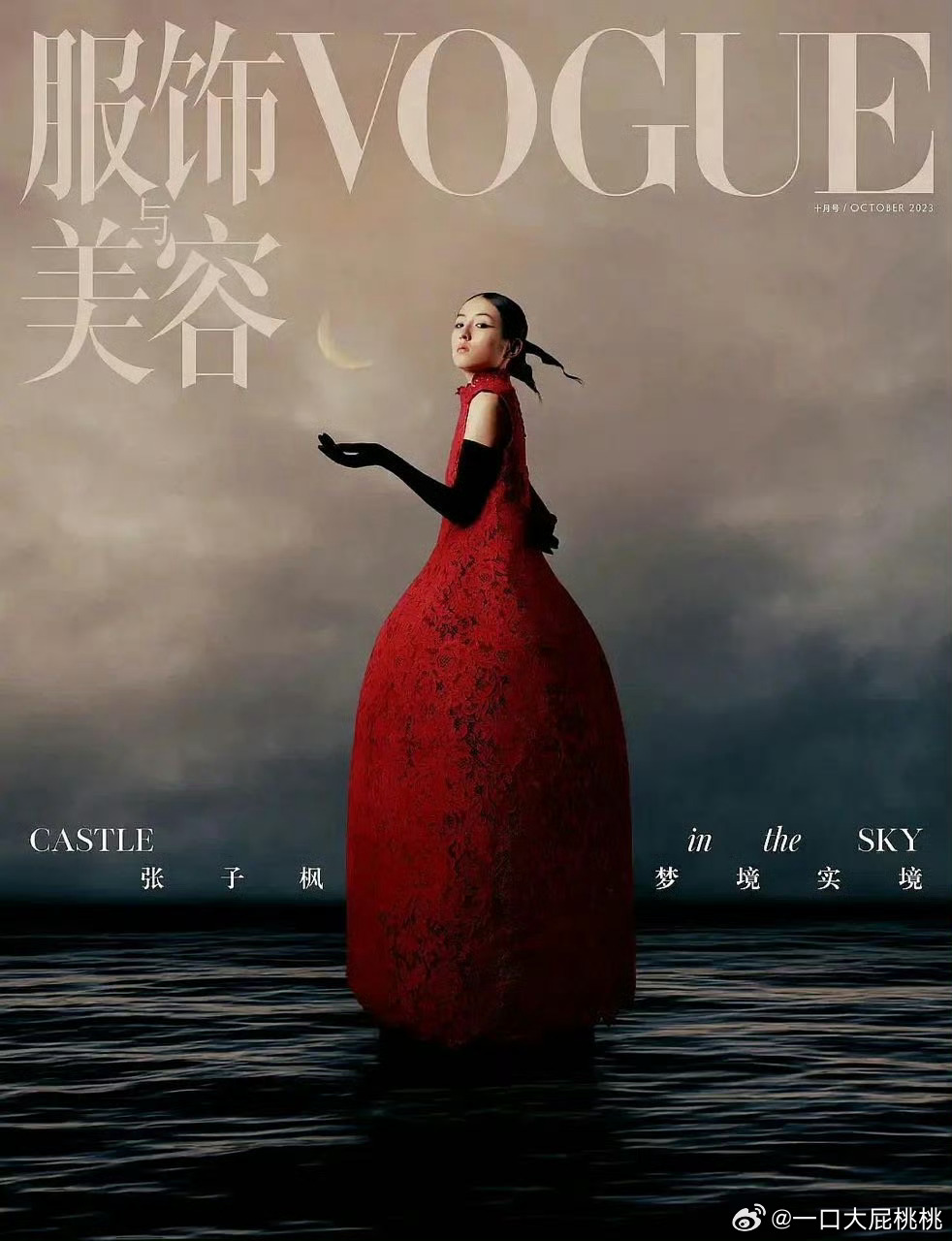 二登五大单人封的00🌸 张子枫、赵今麦张子枫｜vogue，elle（推封品牌C