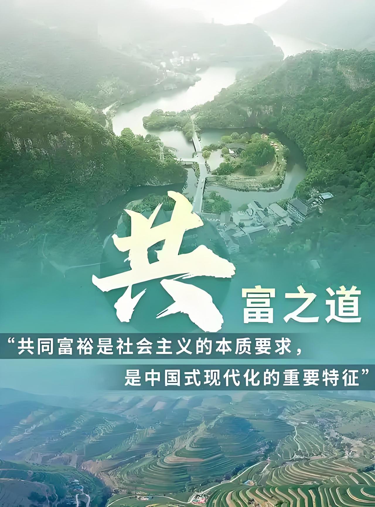 实践是检验真理的唯一标准——共富之道！
实践证明：集体经济与私有经济各有优劣势，