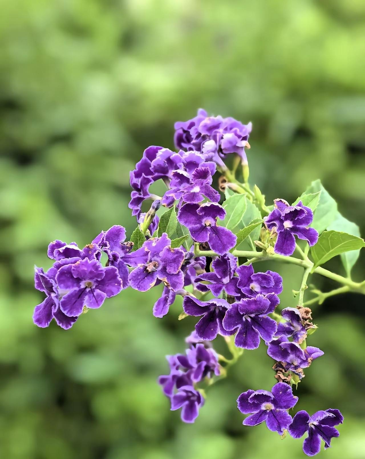 今日读书心得
把放在别人身上的希望收回来，搁在自己身上，可保自己一世的浪漫。