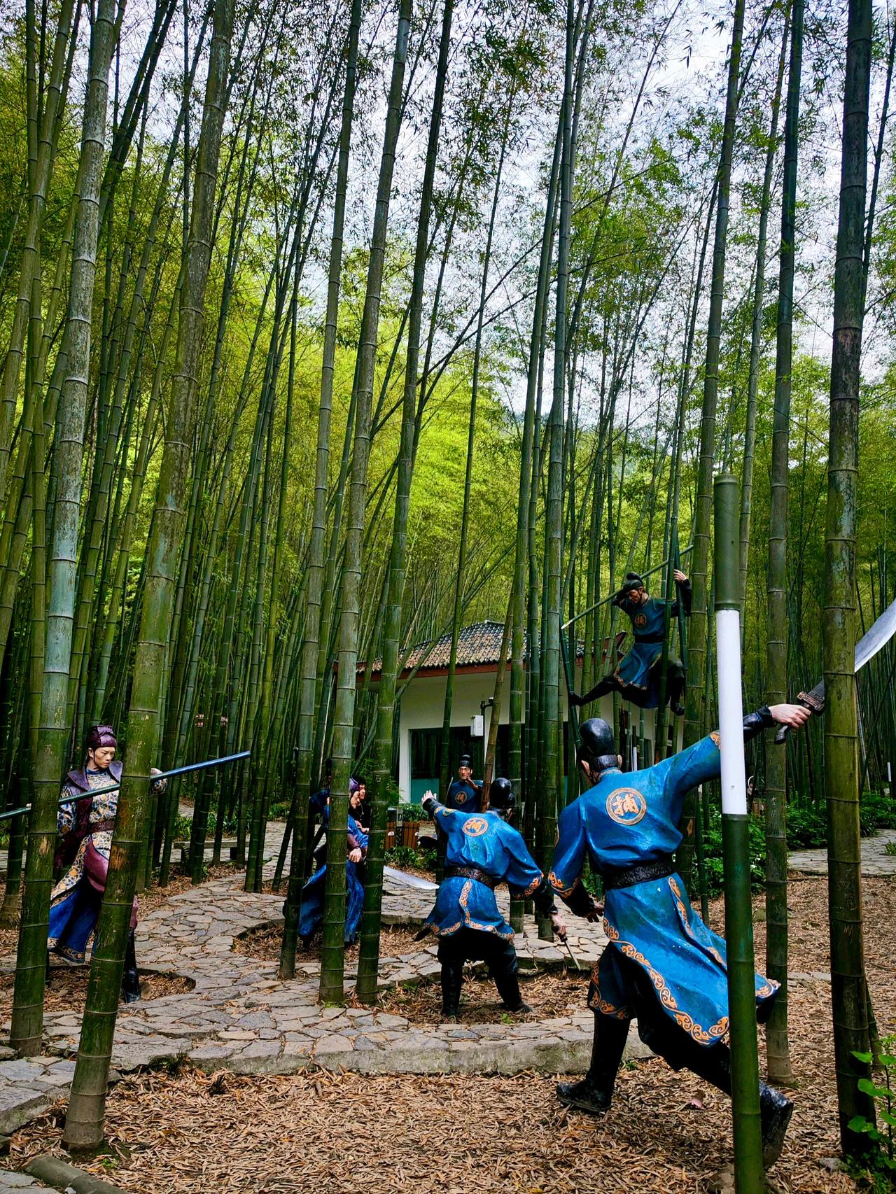 周末闯入绿野仙踪！茶山竹海全攻略带你逃离城市喧嚣。🌿在茶山竹海里整个人都被大自