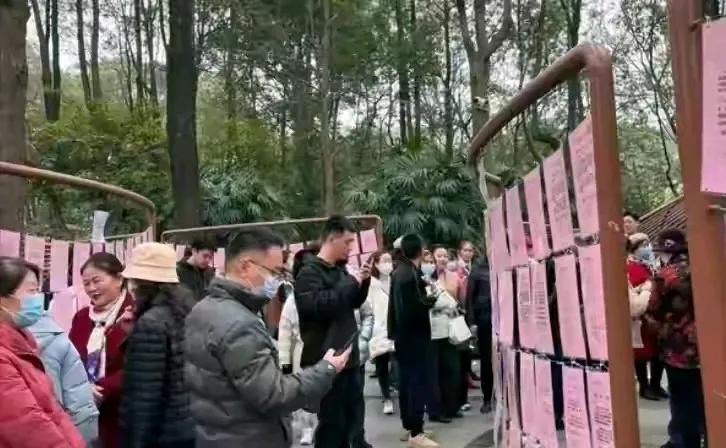 令人心碎的一幕！35岁的女人嫁不出去，老母亲崩溃大哭：找个靠谱的男人怎么这么难啊