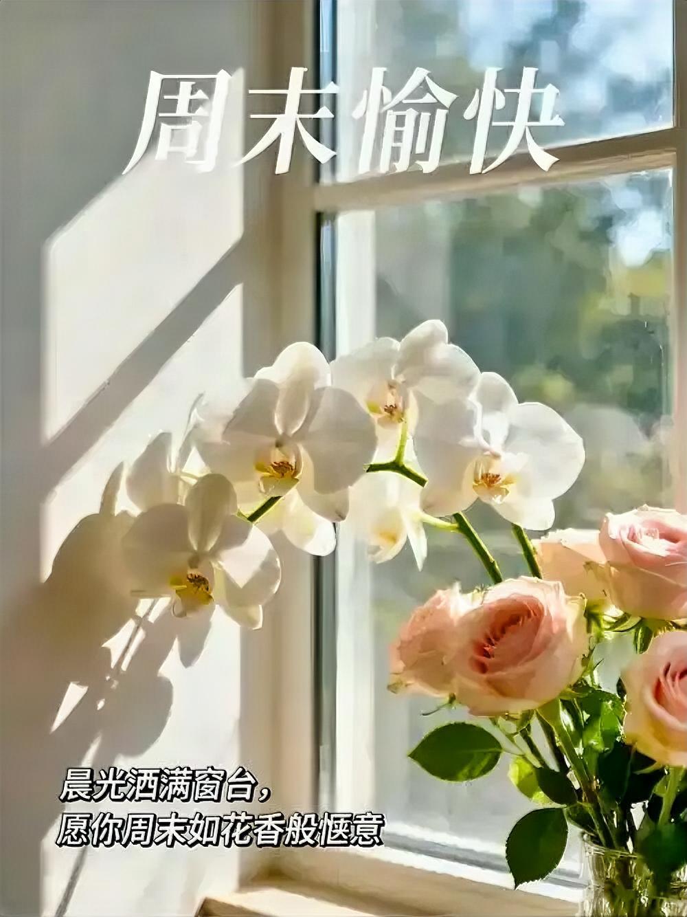 生活给你柠檬，你就榨成柠檬汁加点糖，把苦涩变成甜蜜。心有暖阳，何惧风霜，新的一天