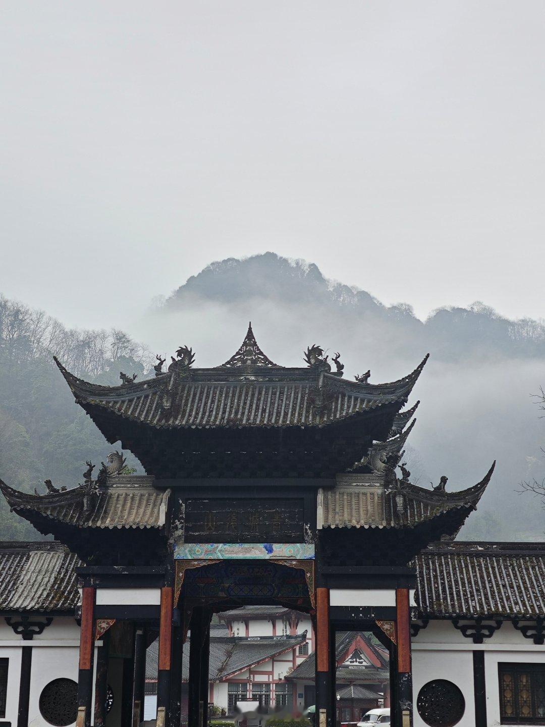 淑芬导游前方发来战报，go！#呆阿拿[超话]#  ​​​