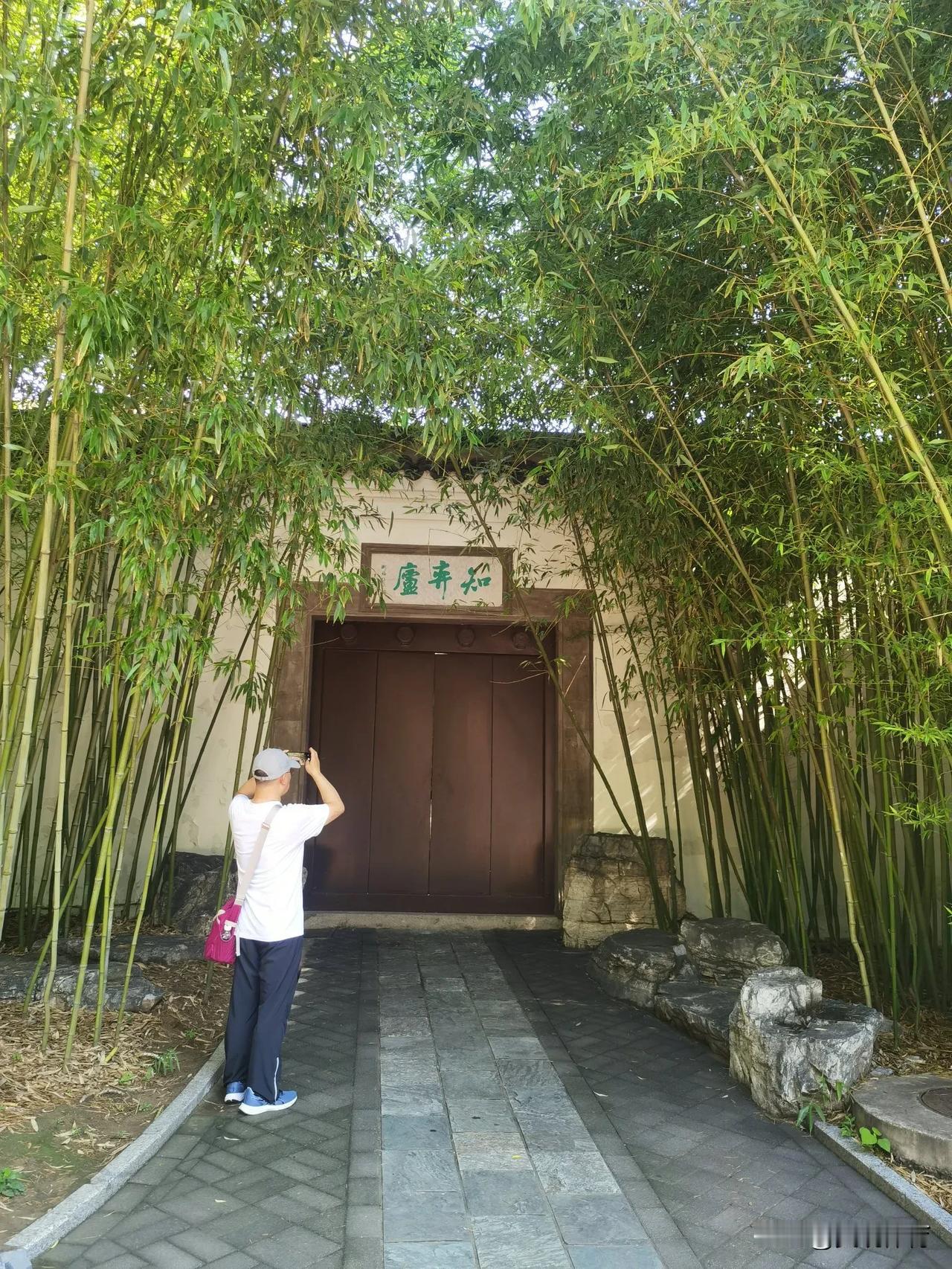 “知弈庐”之名，既是对围棋智慧的致敬，也是对隐逸精神的物化。它依托紫竹院的竹韵禅