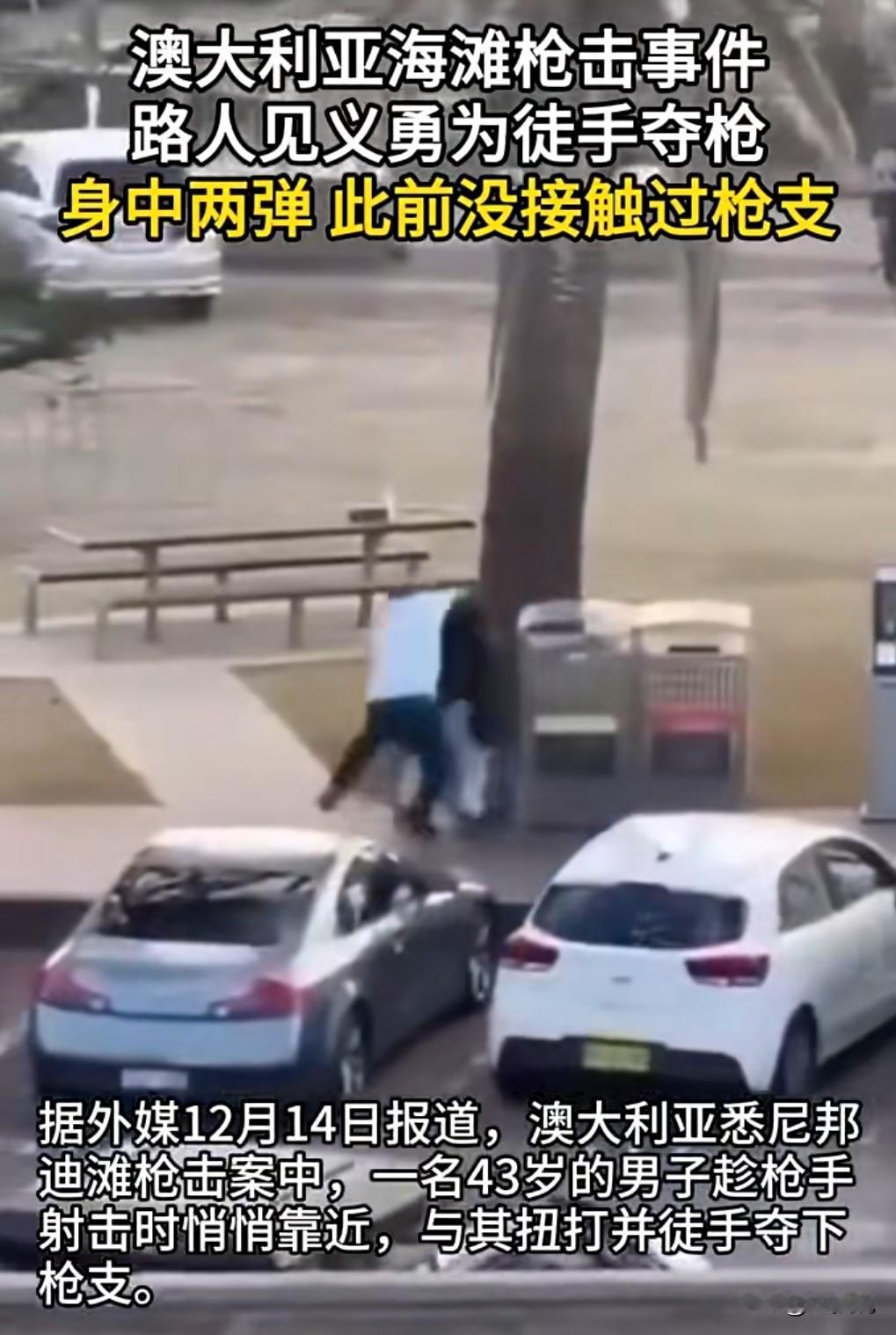 这就是不禁枪的后果。
当地时间12月14日，悉尼发生枪击事件。

造成16人死亡