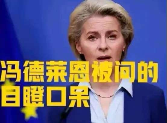 12月欧盟会议，冯德莱恩刚宣布“永久停购俄油气”，芬兰代表突然问：“若特朗普对委