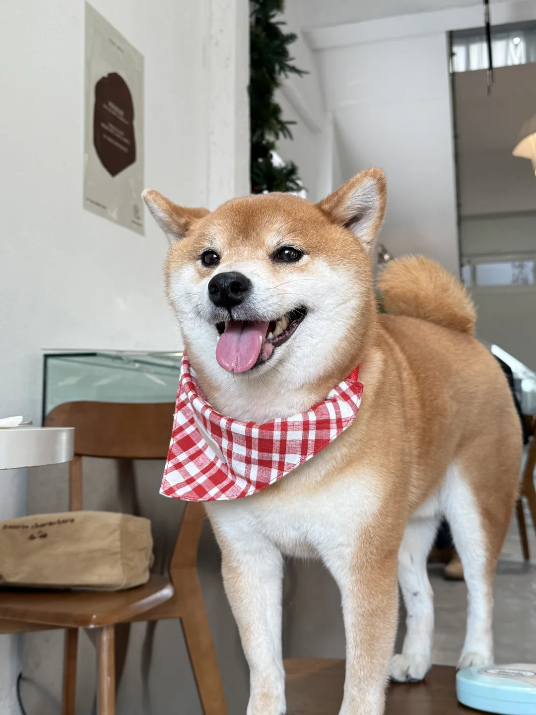 来交换手办吗？？