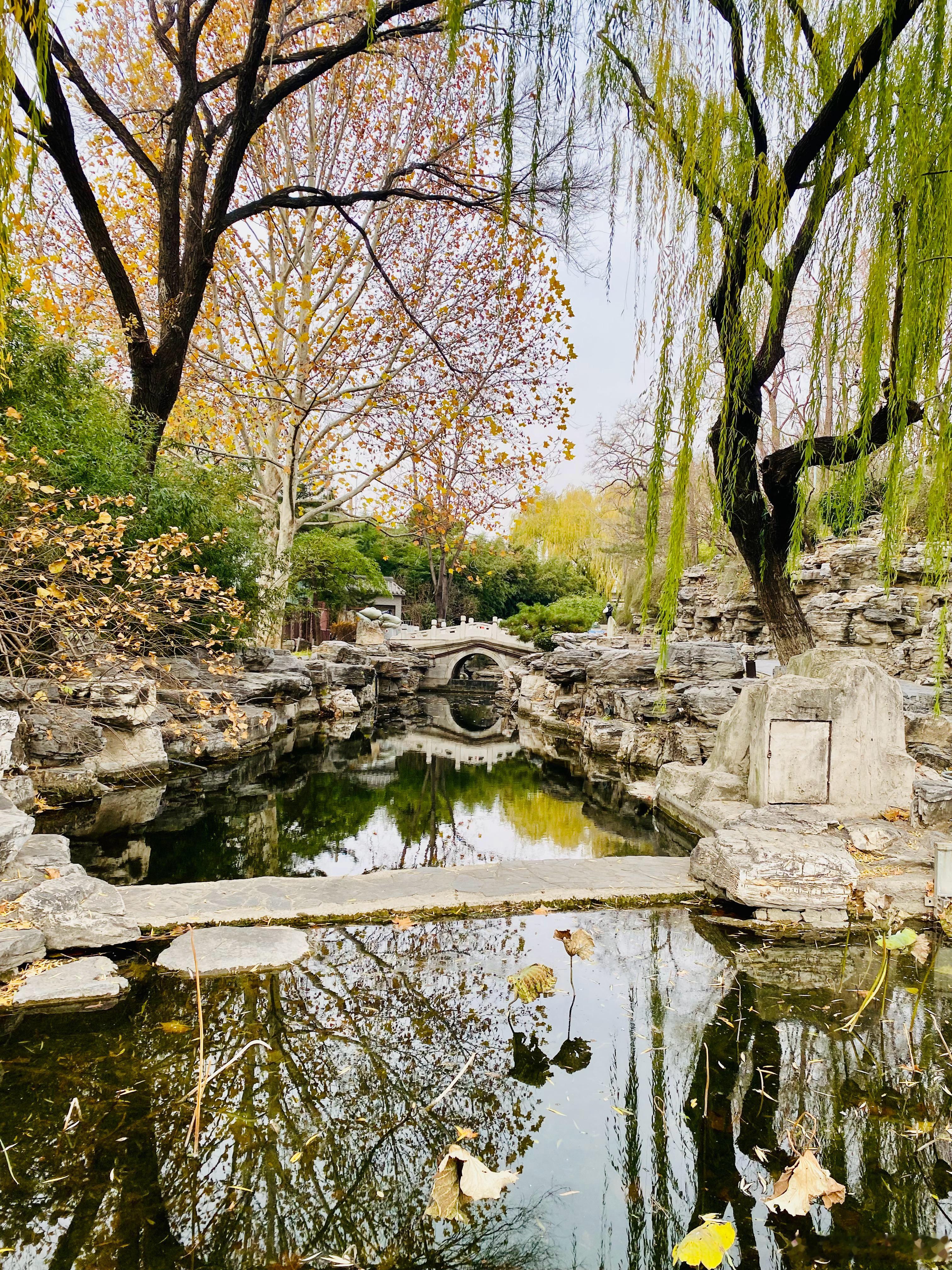 愿倪安好  又到周末了， 开心🥳 周末愉快💚 北京·什刹海