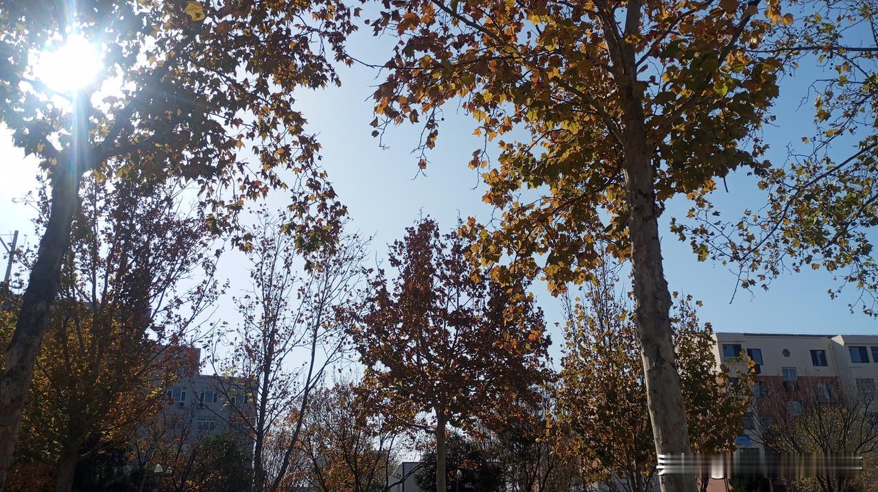 冬天来了以后，这天说变就变，前几天还是一个艳阳高照的好天气，到了晚上就刮起冷风。