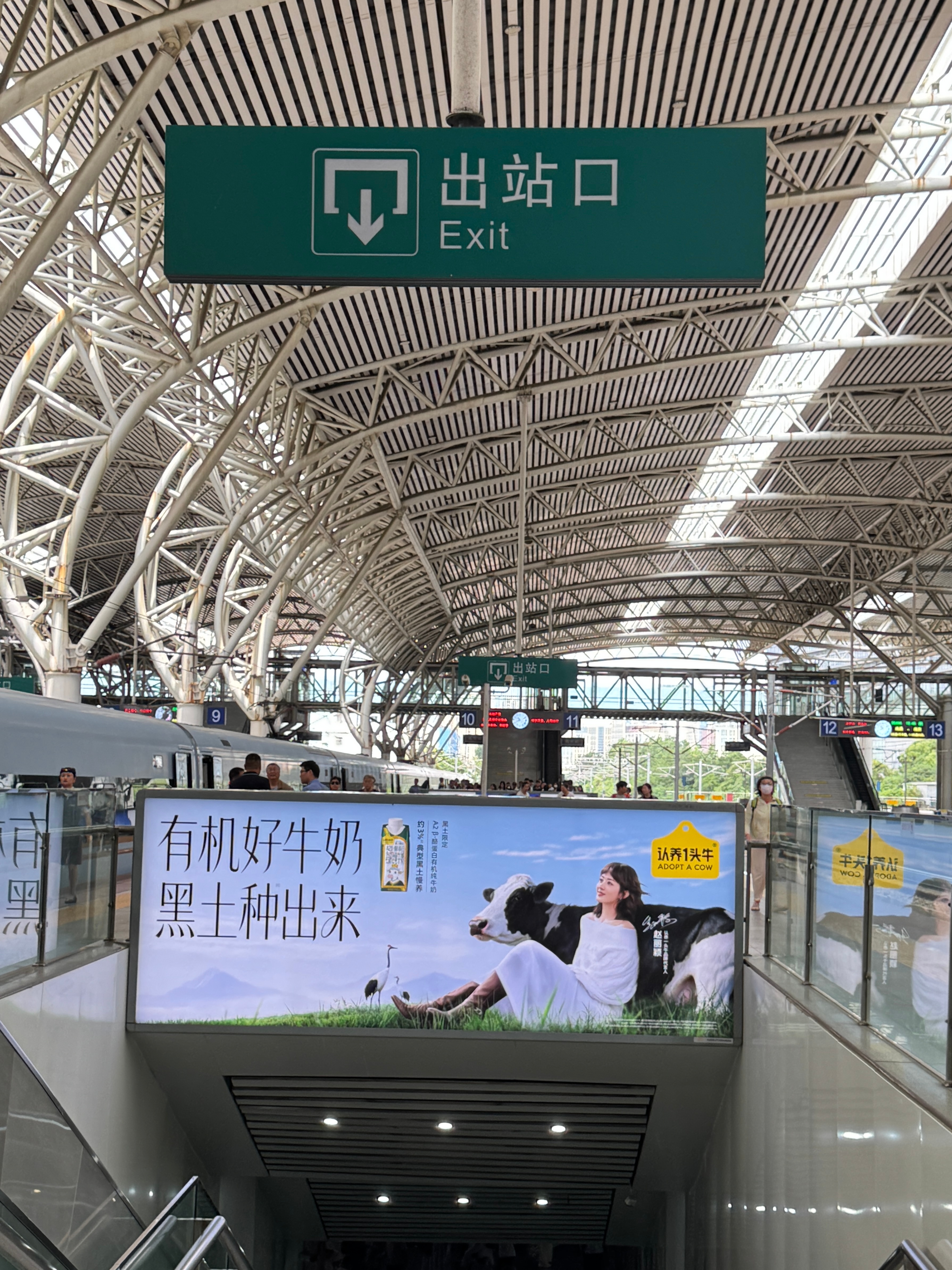 终于放假了一抬头看见了认养一头牛投放的广告真的高铁站随处可见 太棒了看到丽丽