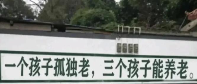 走在熙熙攘攘的街头，突然瞥见了一面墙上的新标语：“一个孩子孤单老，三个孩子能养老