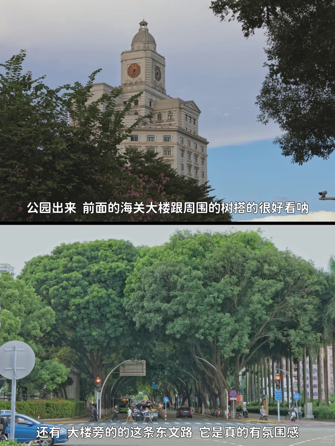 如果再去中山 可别再忽略这个很棒的公园啦