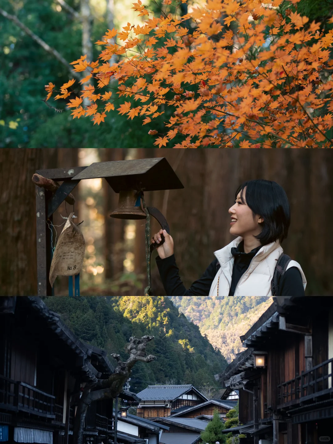 出门捡秋去🍁人少景美趁早出发🍂