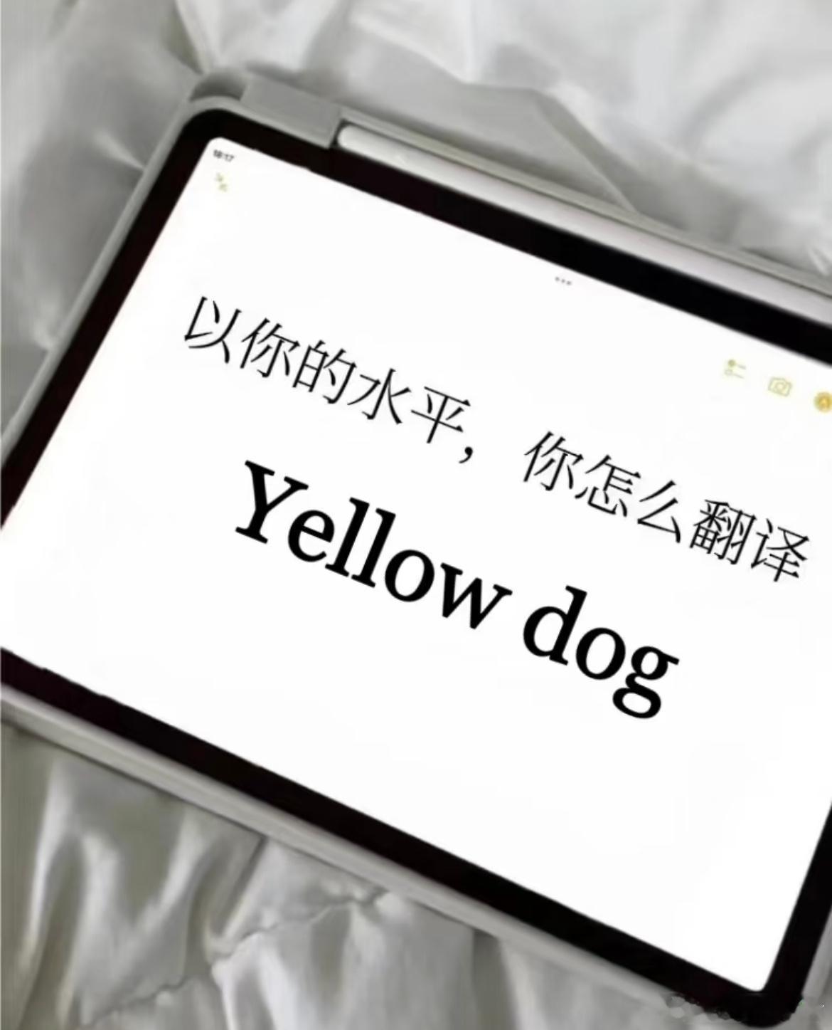 用你的英语水平翻译这句话 ​​​