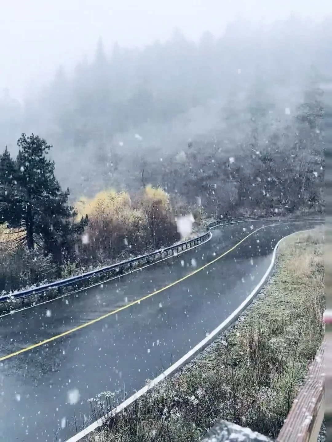 今天的雪，真的超好看！❄️