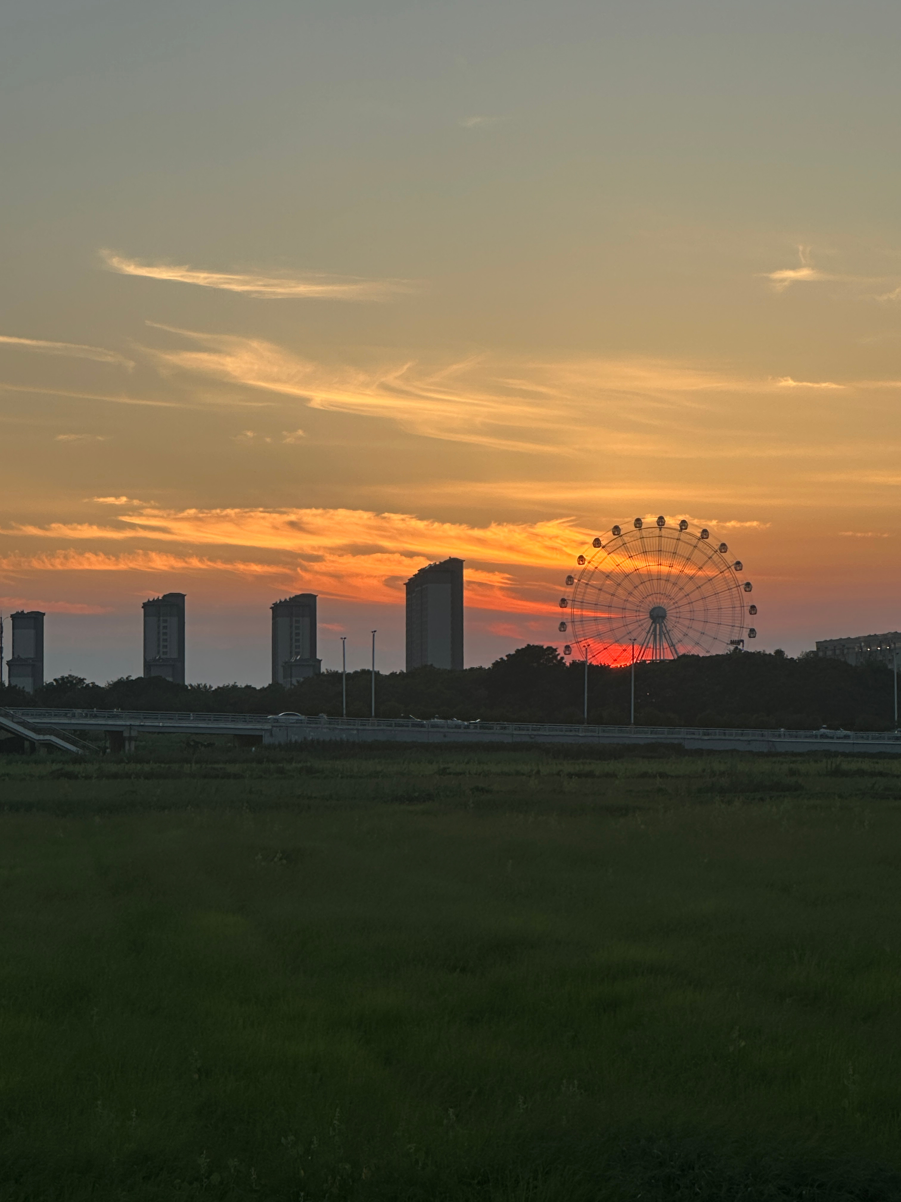 🌇 