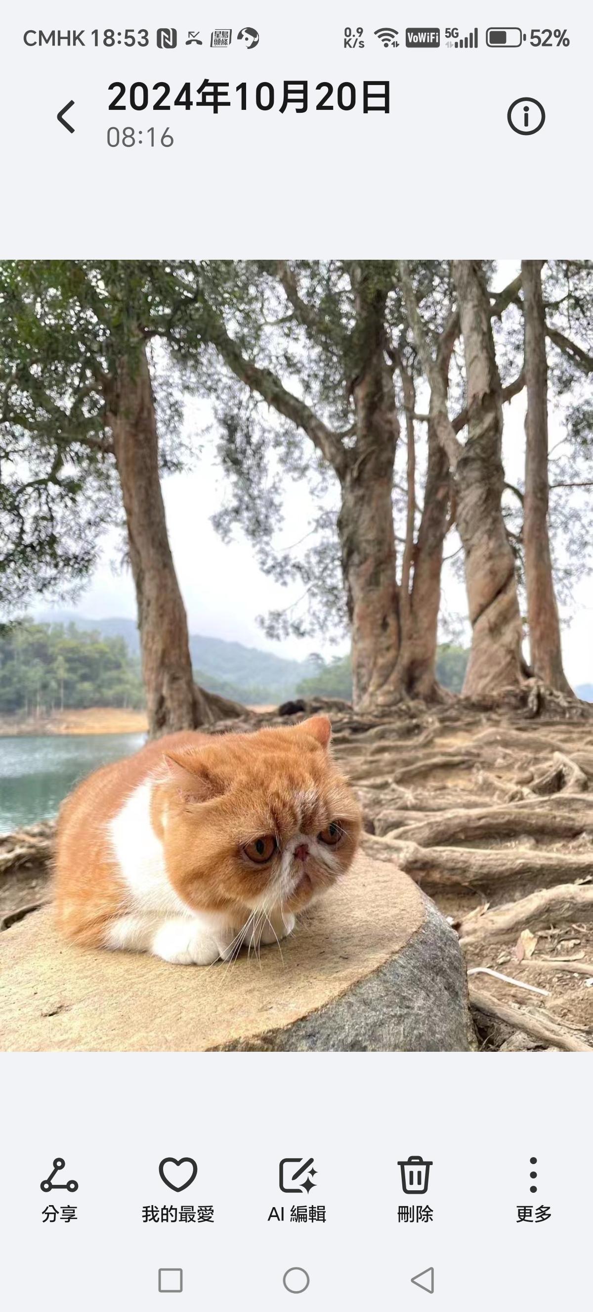 发一张你眼中最美的微笑照片