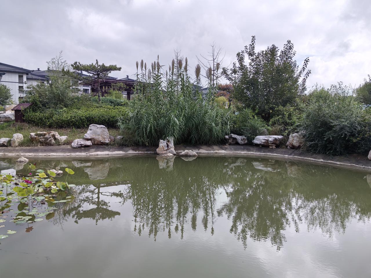 不知道是不是游泳人的心率都低，我体检连续几年都是55到56，最近的一次心电图竟然
