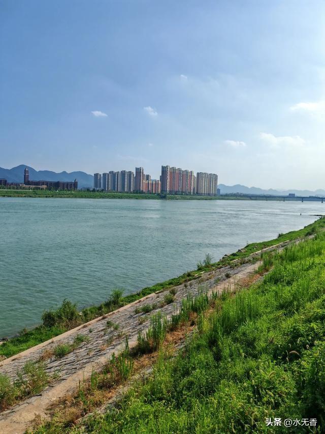 养生专家说：
“有钱人基本上不怎么吃东西，这个做法非常正确。因为有钱人他怕吃多了