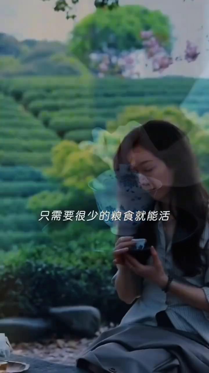 灵魂需要独处和自由。
人到中年才读懂这句话：我怎么可以用一生的忙碌，只是为了喂养