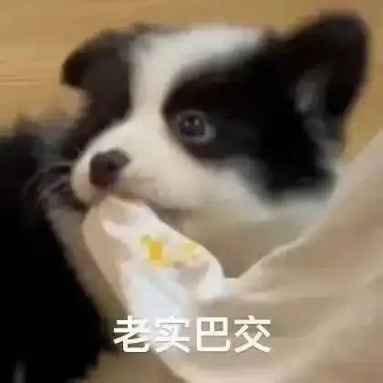 表情包也要沙雕得可爱！ 更新不易，拿图点赞[心]更多表情包请看主页[心] ​​​