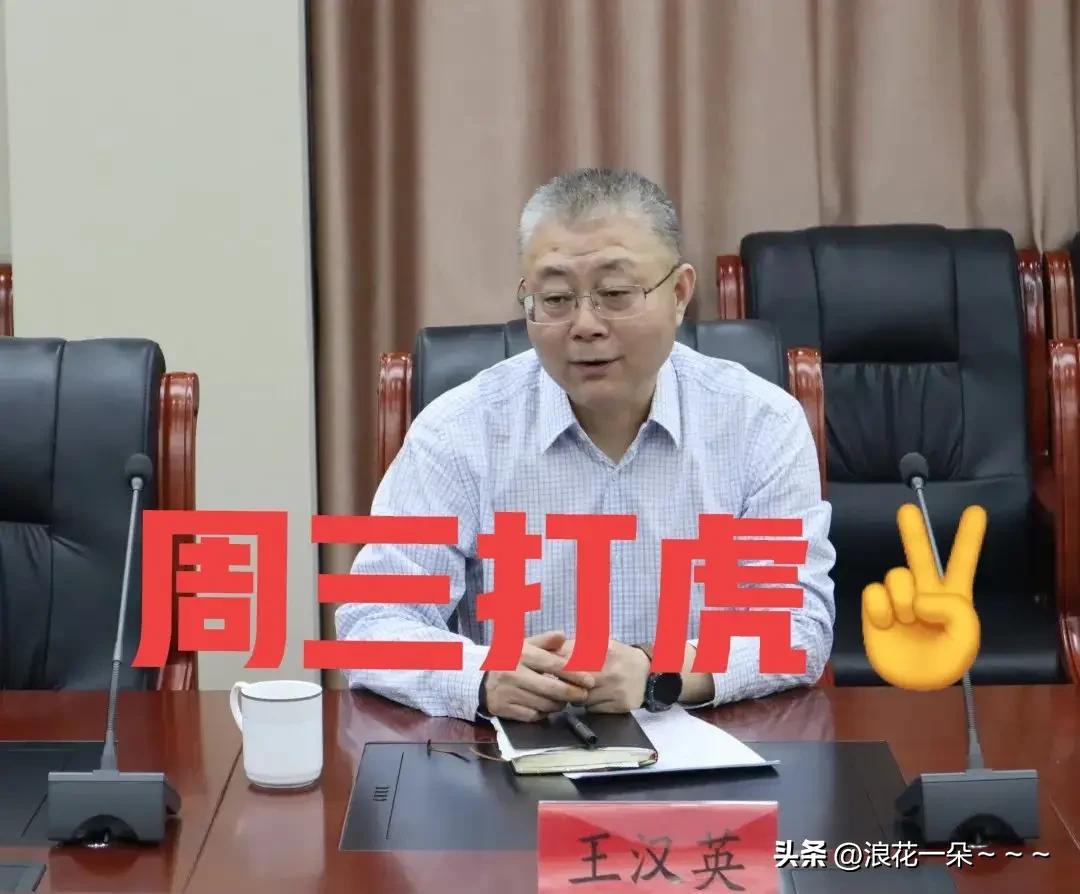 就在刚刚
看了“界面快讯”新闻，“王汉英”被查，于是看了一下他的工作履历，57岁