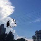 小鼻子聚聚国际