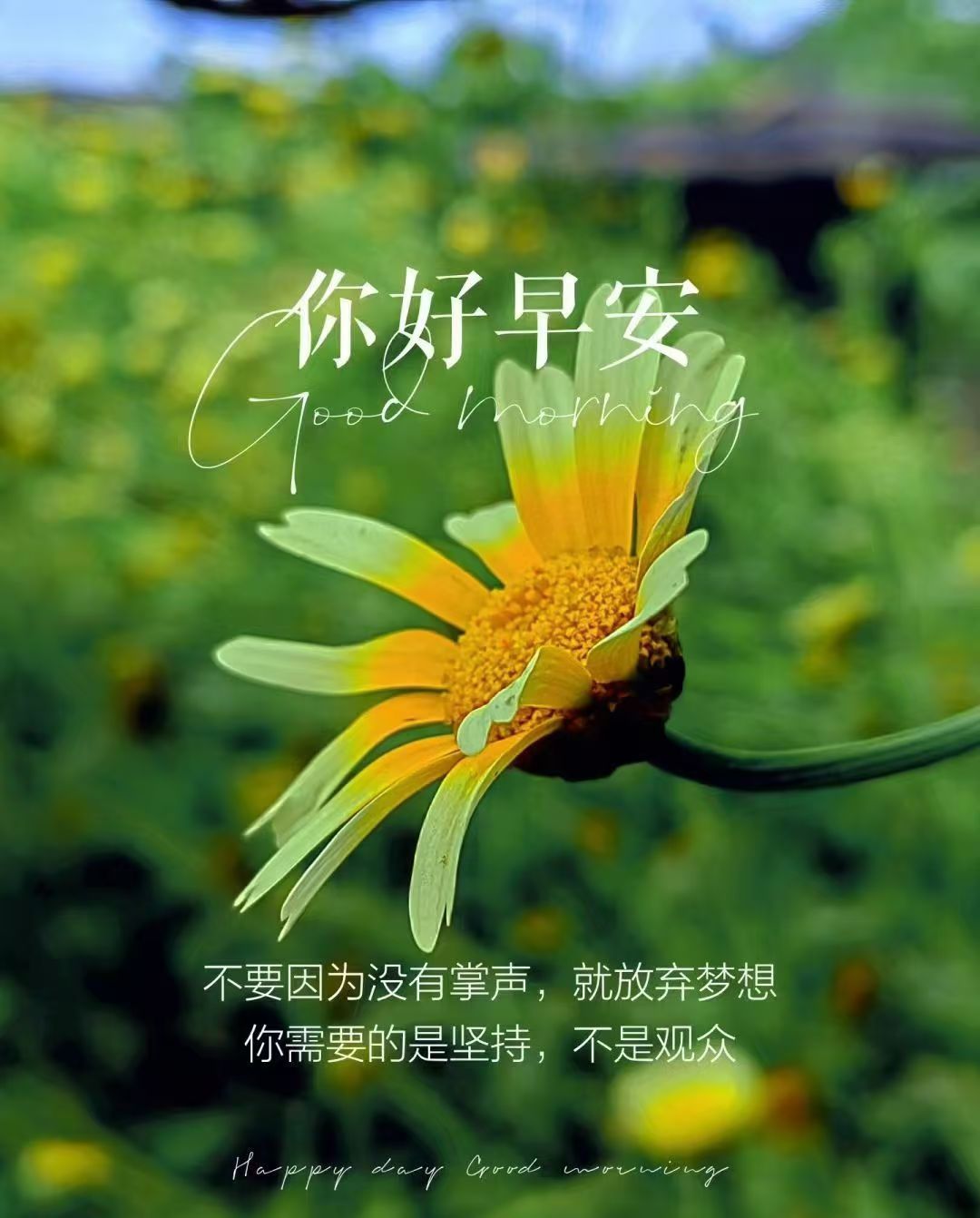 这个世界上很亏本的事情就是为尚未发生的事情而担忧为自己想象的结果而焦虑 ​​​