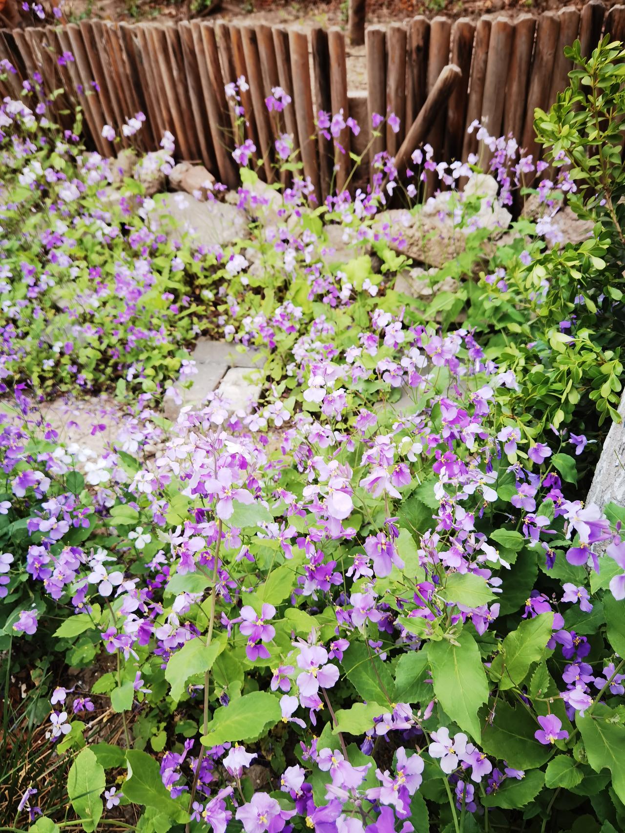 处处美景处处赏