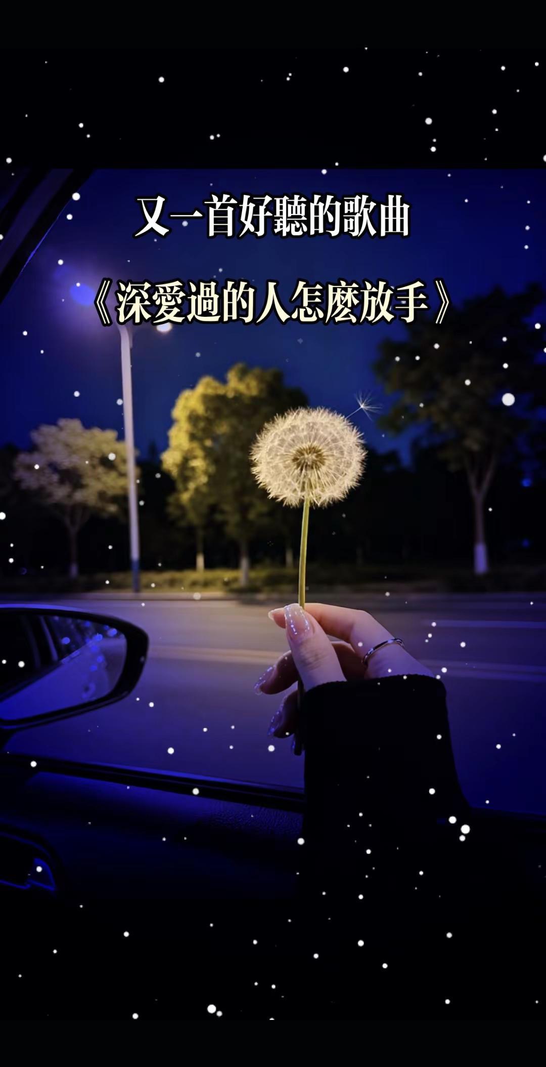 放下执念，自愈余生。情感音乐