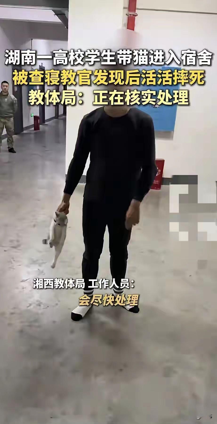 太过分了！这么可爱的一只小猫，怎么就下得了手呢？今天看到一个视频，一位男生把一只