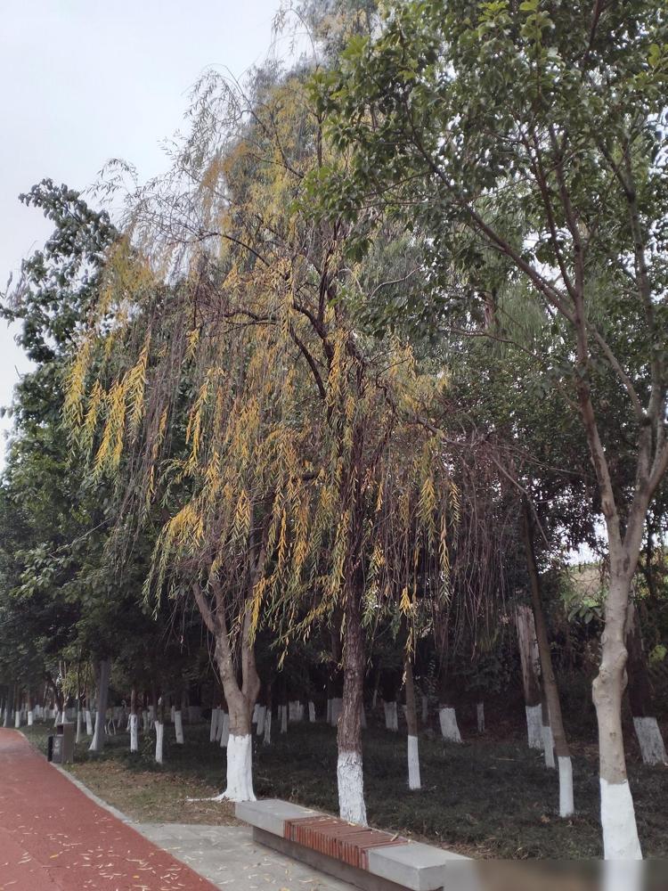 人到中年最扎心的是什么？之前我们单位有个女同事，人非常能干，无论什么事只要交给她