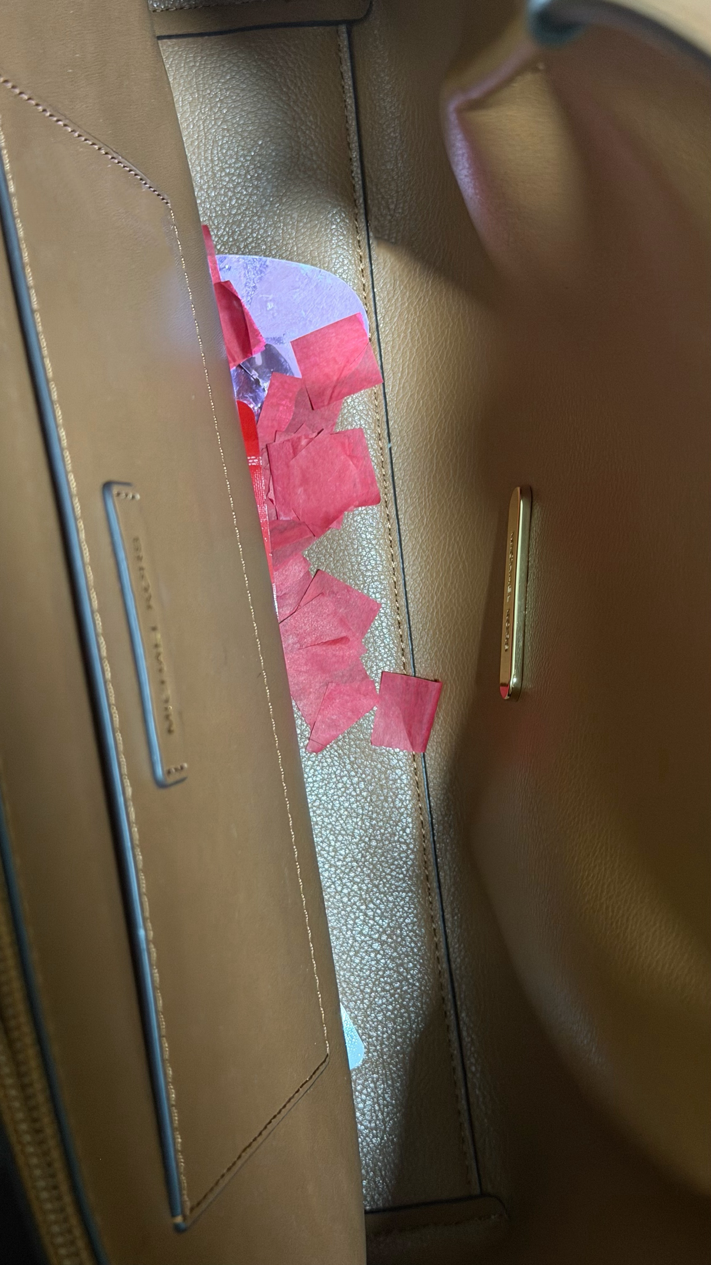 刚刚打开上一站去蛋岛的托特包…它们自己落进去的 