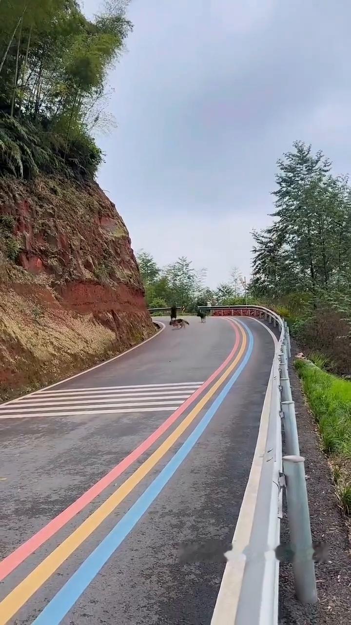 封闭道路请勿模仿。