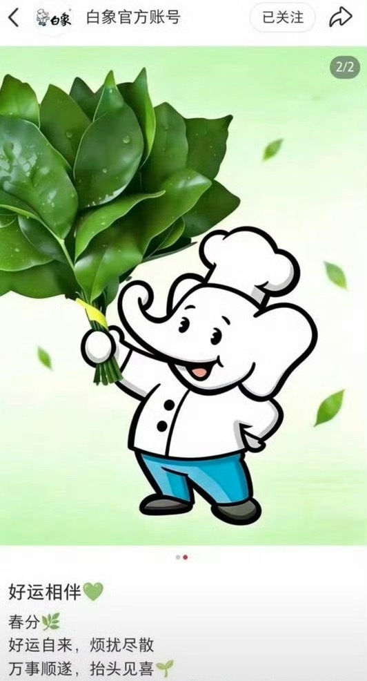 敏敏肌对号入座就是这样吧，王一博代言的白象昨天发了土豆泥火鸡面的做法，肖战粉丝觉