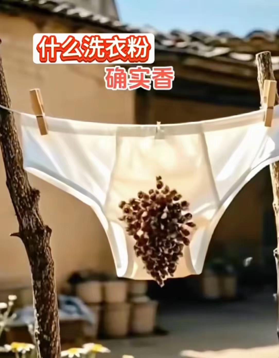 这是用的什么洗衣液？招来这么多蜜蜂！