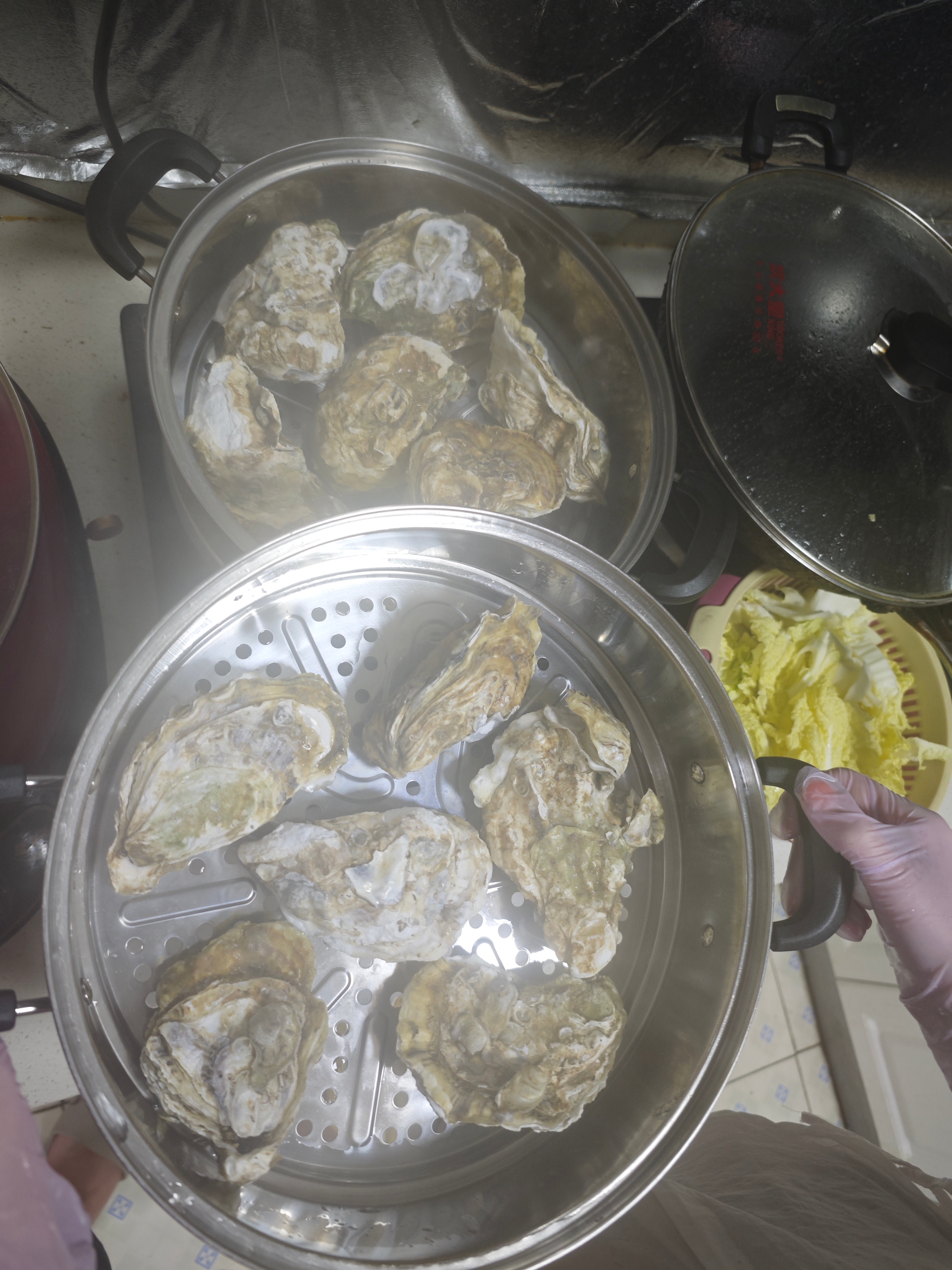 狗肉，生蚝，桑葚酒火力全开套餐[苦涩][苦涩] 晚点告诉你们效果如何[傻眼] ​