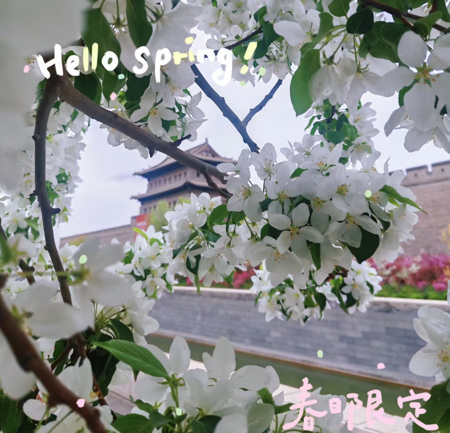 我们大同这古城墙现在真的很不错！ 