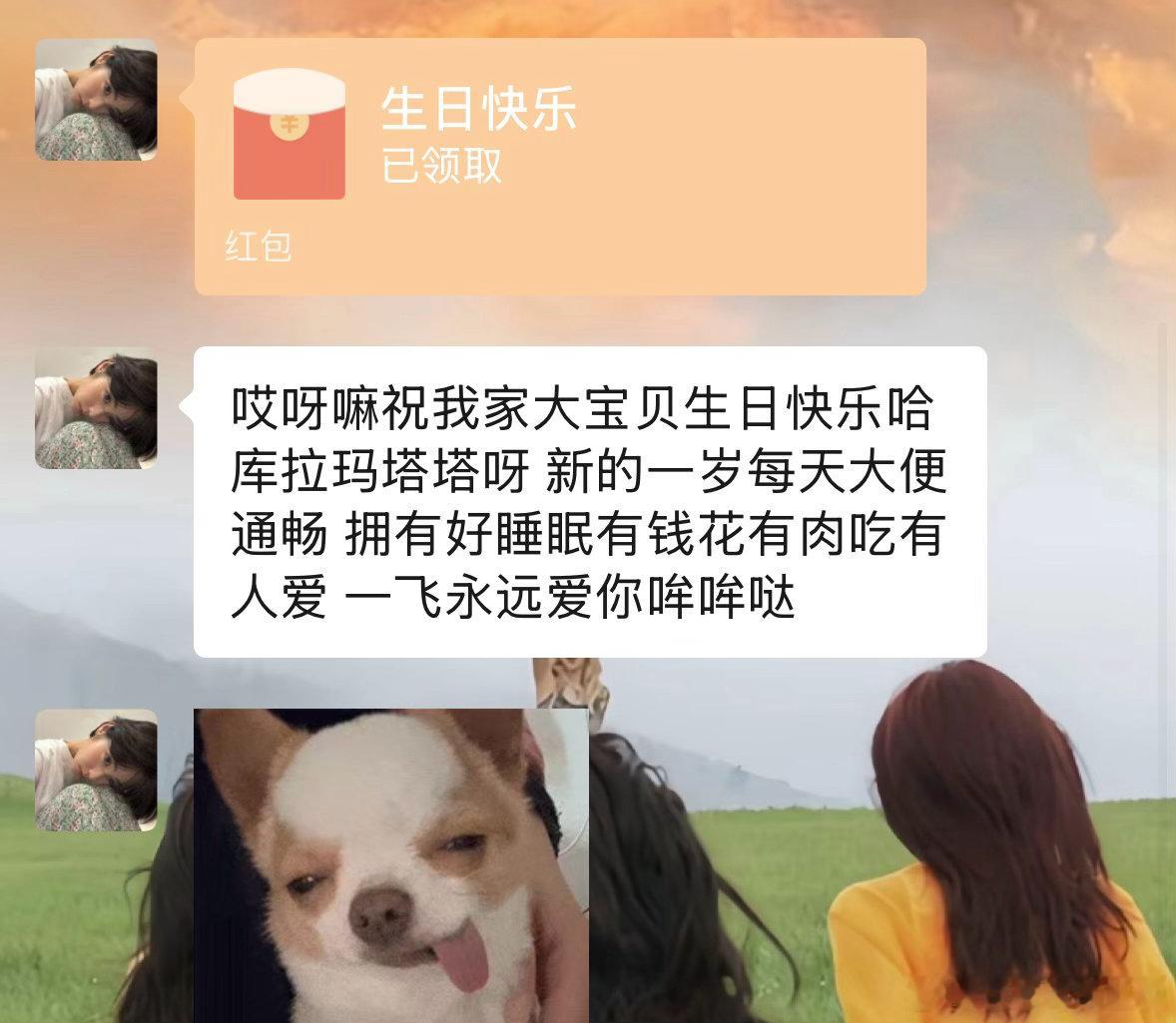 真刘亦菲来了