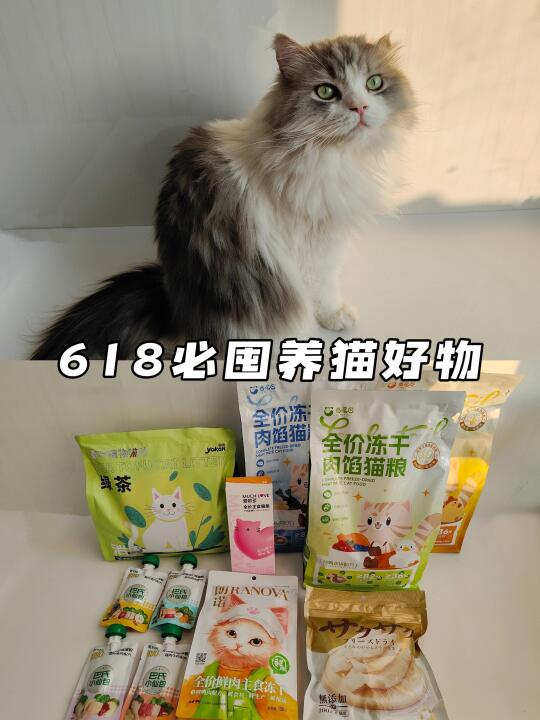 ⋅𐙚ྀCat｜618🖊️囤养猫好物˚₊✯͡