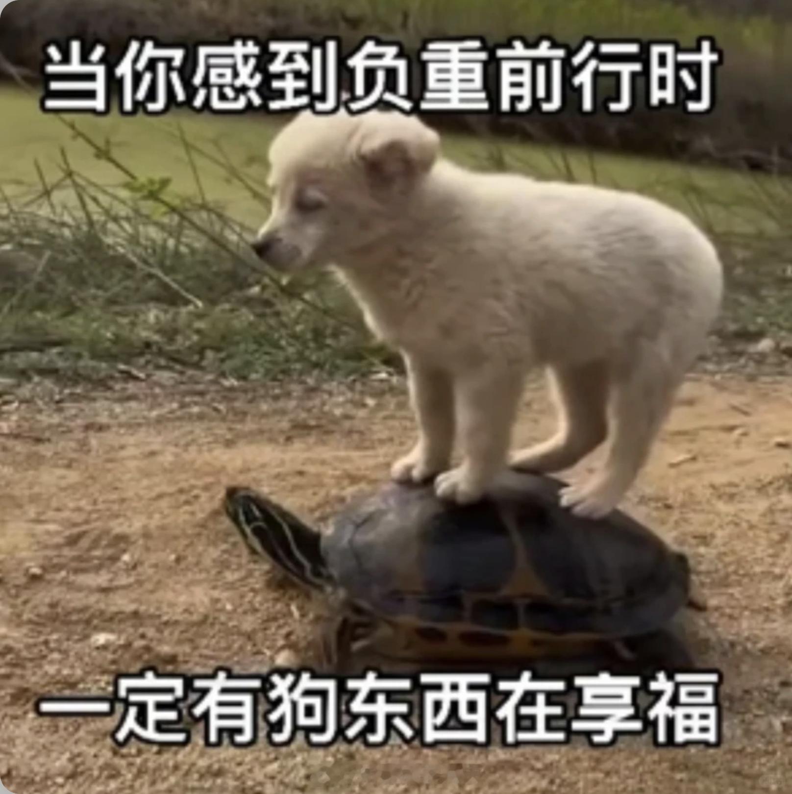贾浅浅硕士学位被撤销 ，还是得人民大学打个样~为什么普通人感觉上升通道狭窄，就是