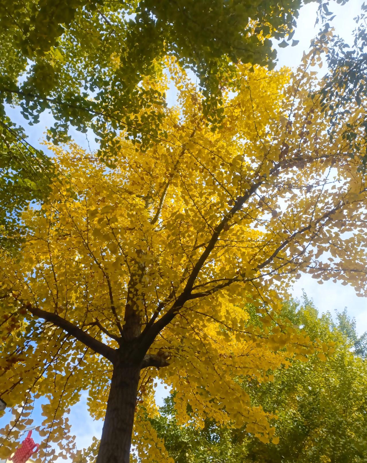 一、认知与感受
你经历的一切，最终沉淀为看待世界的角度和内心的体验，这是外人无法