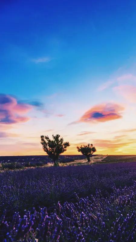 人品决定了一个人的口碑和格局。一个有好人品的人，走到哪里都会受欢迎。良心则守护着