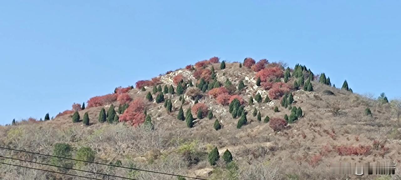 #每一个瞬间都值得被记录#
碧云天
红叶山
地瓜饭
手擀面
烧大锅
驱初寒
两鬓